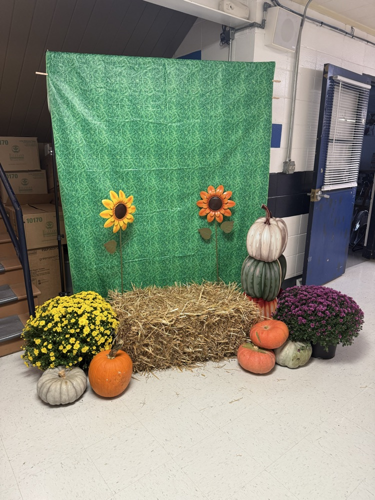backdrop