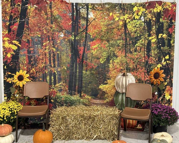 backdrop