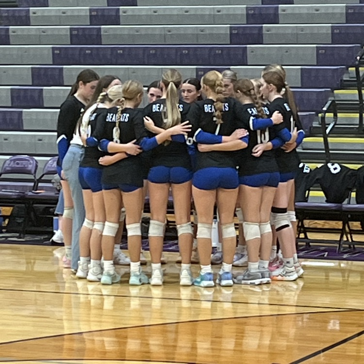 varsity volleyball