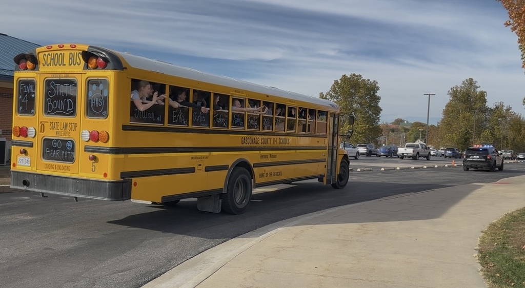 State Volleyball send off