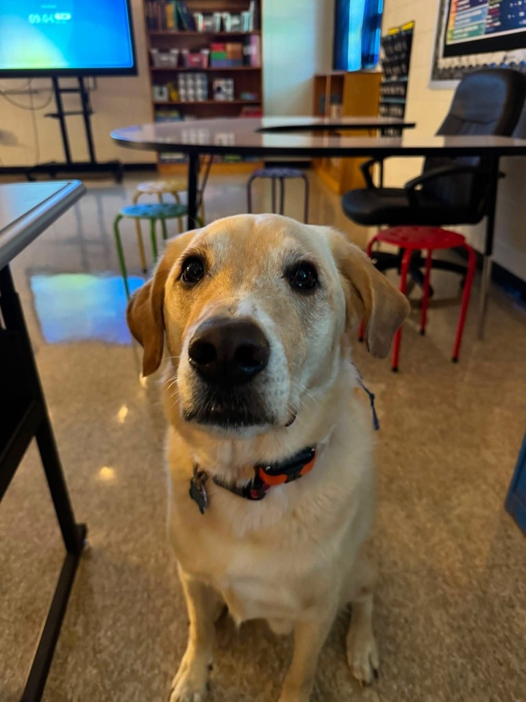 Bennett's first day back as well