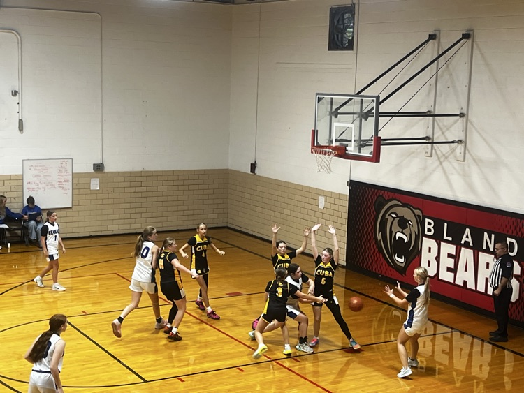 MS BASKETBALL 