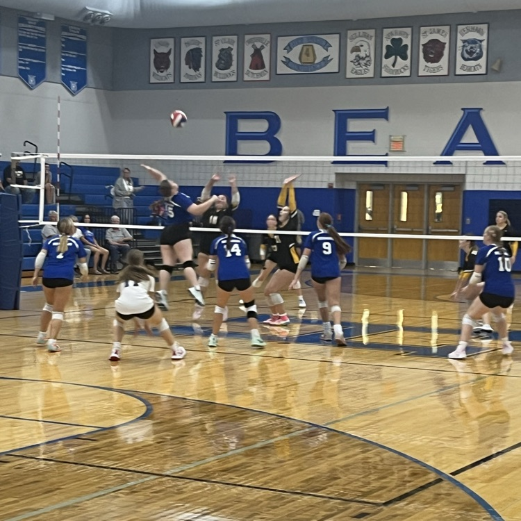 VB