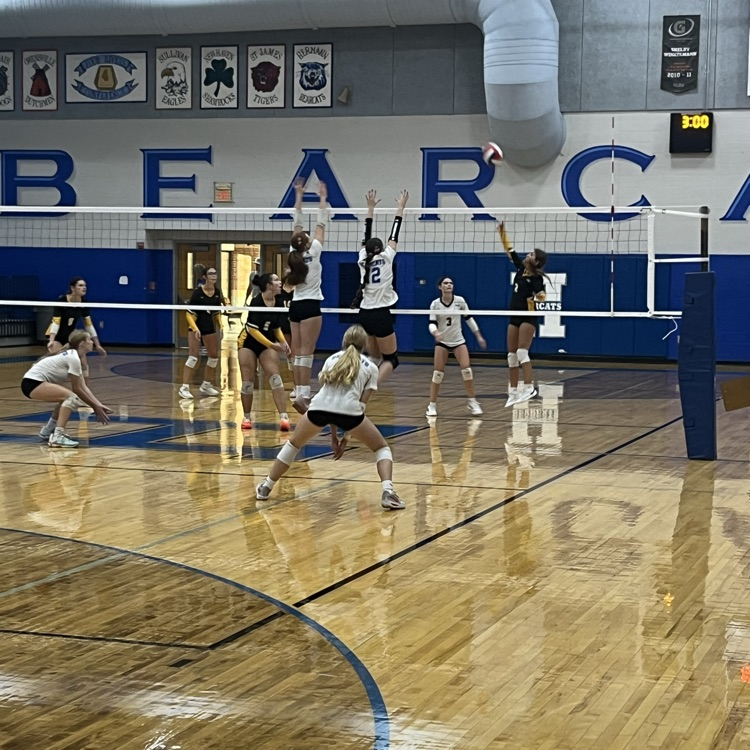 VB