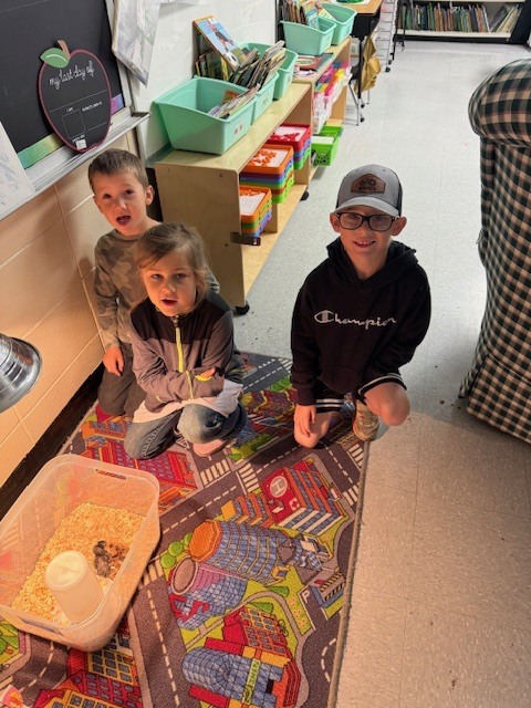 Three kids sitting on a rug next to a small container with a turtle inside. Behind them, shelves with books and storage bins.