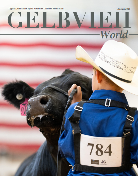 Cover of Gelbvieh World magazine features a boy in a cowboy hat leading a black cow with a tag.