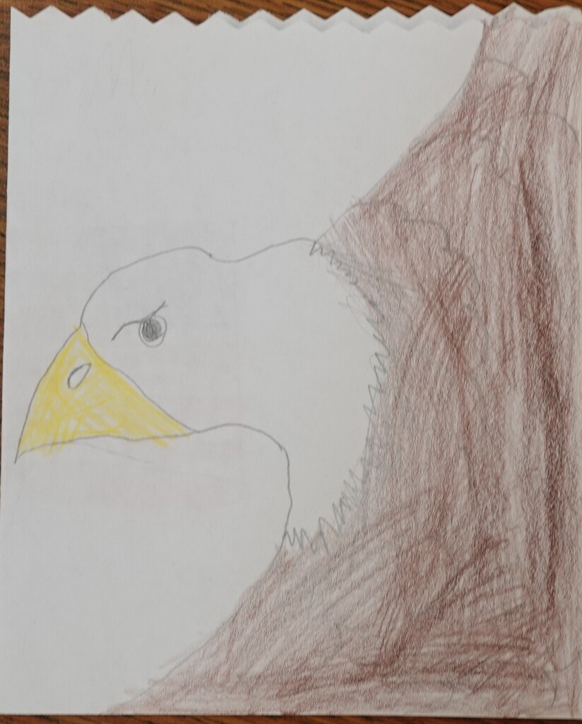 A drawing of an eagle's head with a yellow beak and eye, set against a background of brown tree bark.