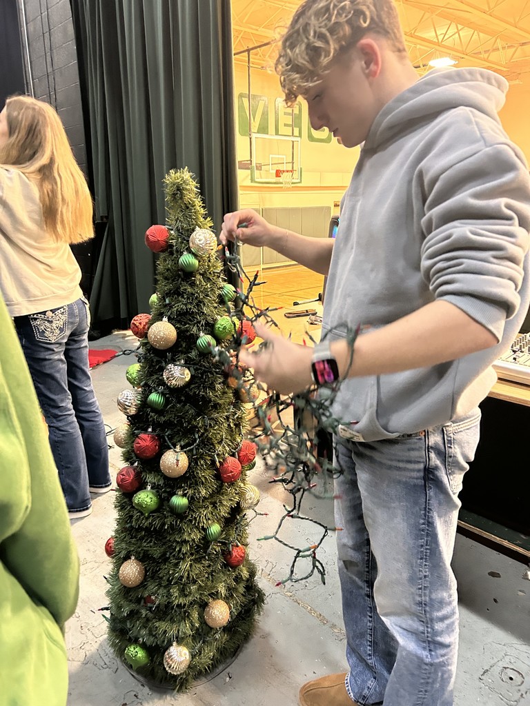 Holiday Mini Session sign ups for Genesee High School