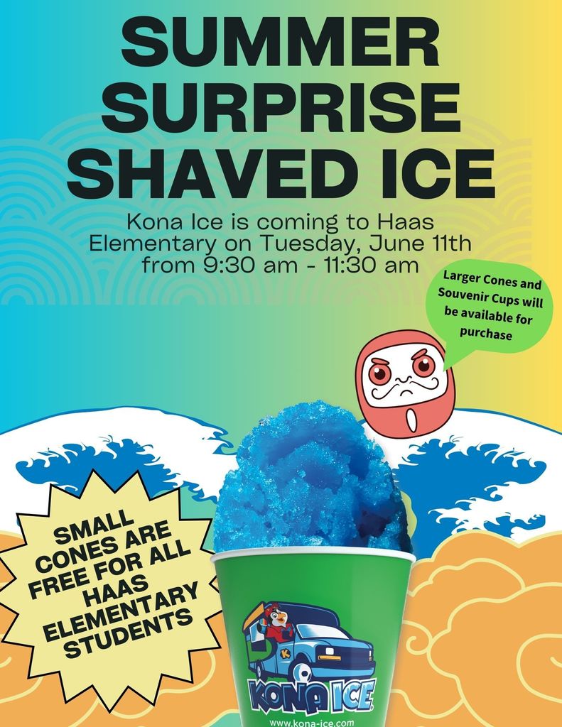 Kona Ice