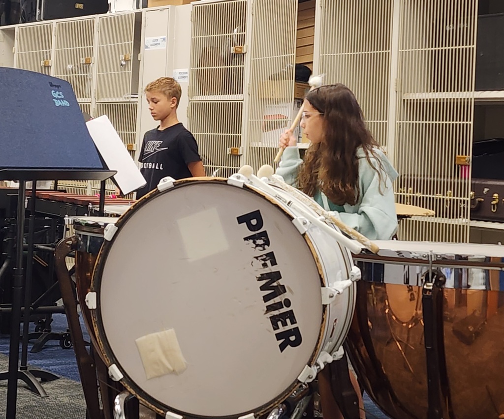 MS Band