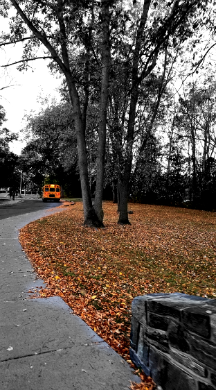 Fall Photos