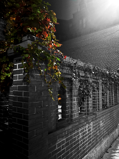 Fall Photos