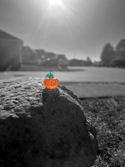 Fall Photos