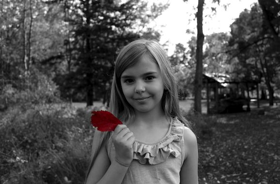 Fall Photos