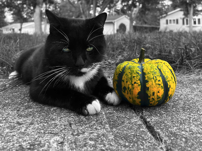 Fall Photos