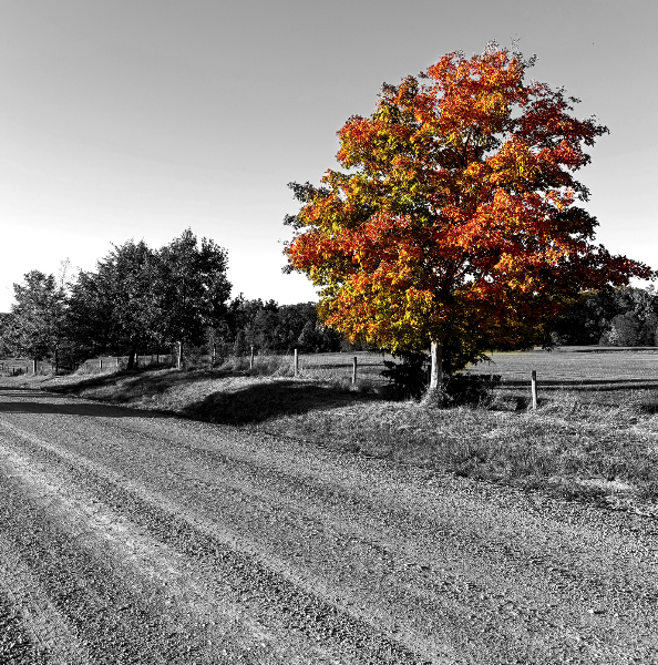 Fall Photos