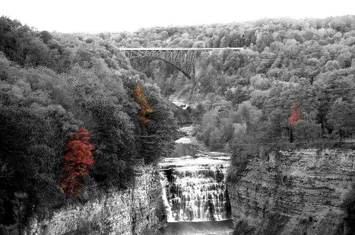 Fall Photos