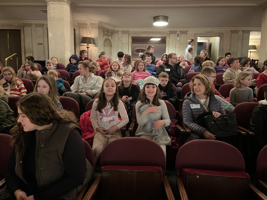 Orchestra Performance