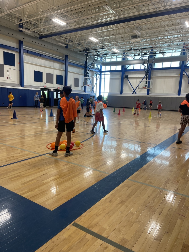 Activity Day