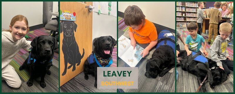 Pawsitive support: Therapy dogs making a difference in Geneseo's schools
