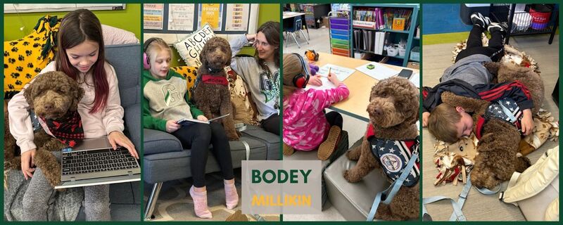Pawsitive support: Therapy dogs making a difference in Geneseo's schools