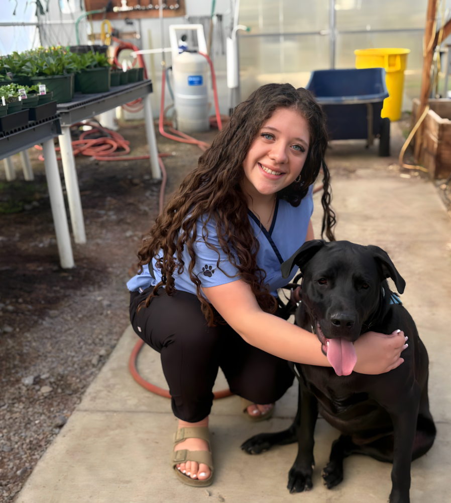 A student is on the ground hugging a dog.  The dog has it's tongue sticking out.  