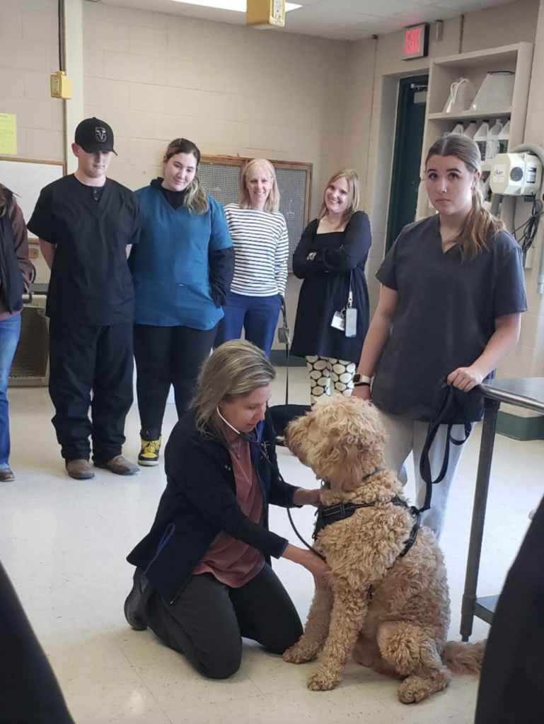 A Vet is listening to the heart of a dog who looks like a golden doodle showing a group of students what a check up looks like for animal.