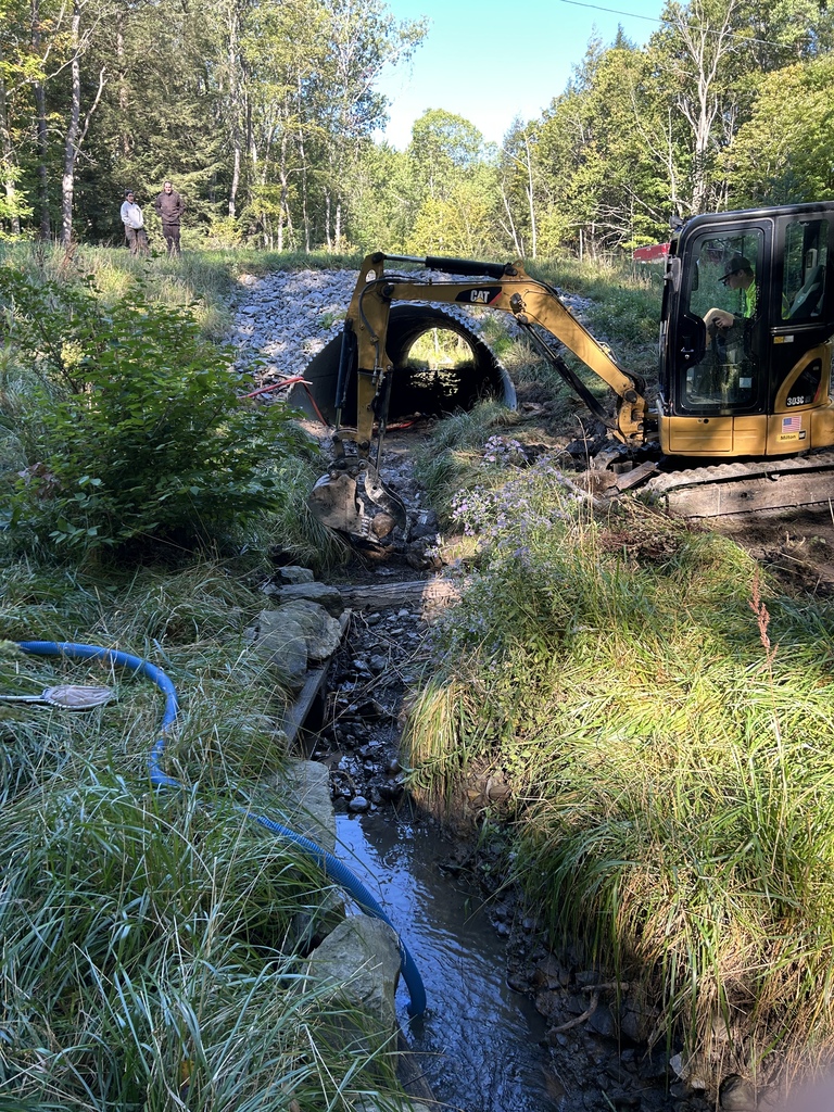 A yellow excavator is clearing the area. A small stream runs through the site. Trees and shrubs are on both sides.