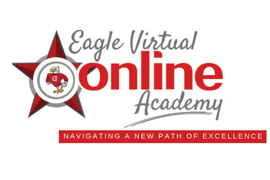 Virtual Academy