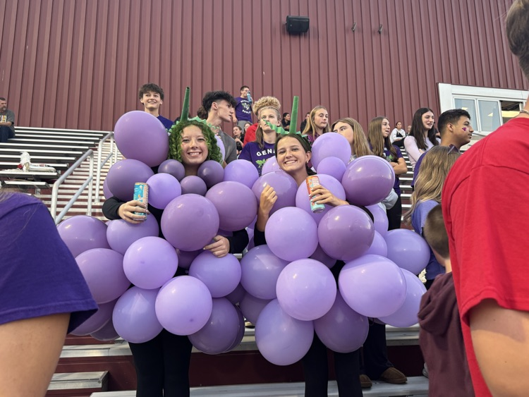 student section