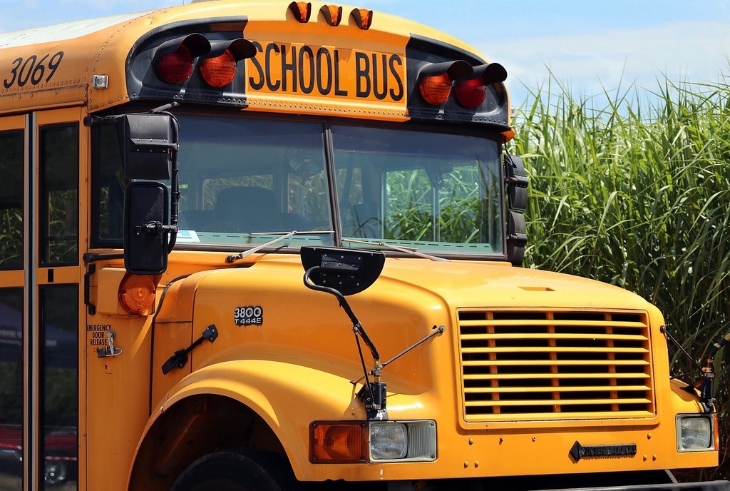 yellow bus in front of tall grass