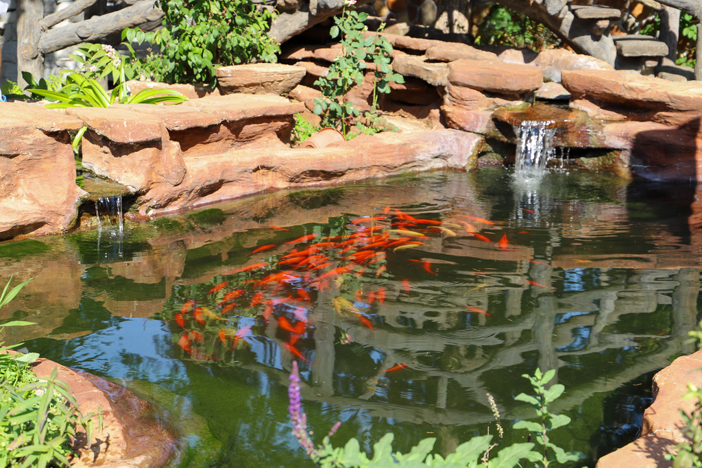 Mr. Perry's Pond
