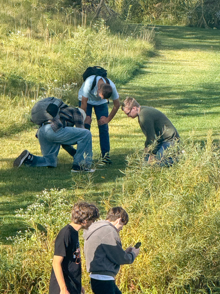 AP Environmental Science 