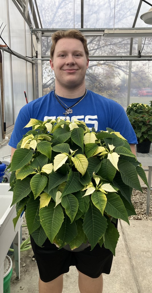 student holding poinsettia
