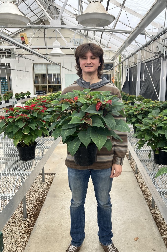 student holding poinsettia
