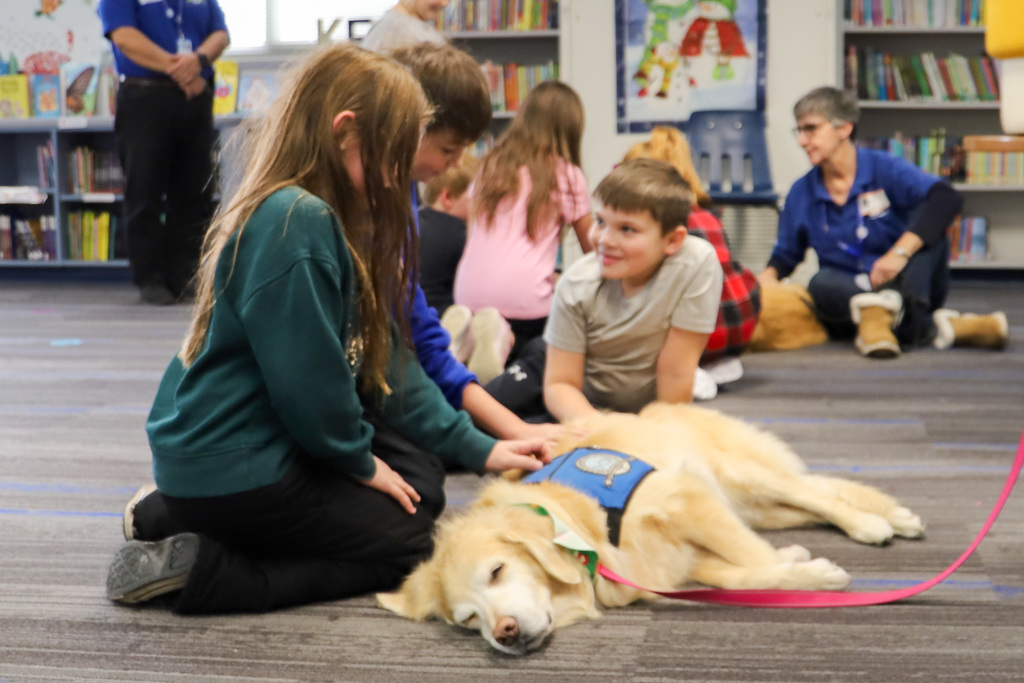 Therapy dog and students