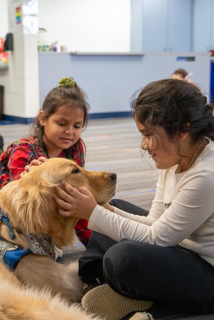 Therapy dog and students