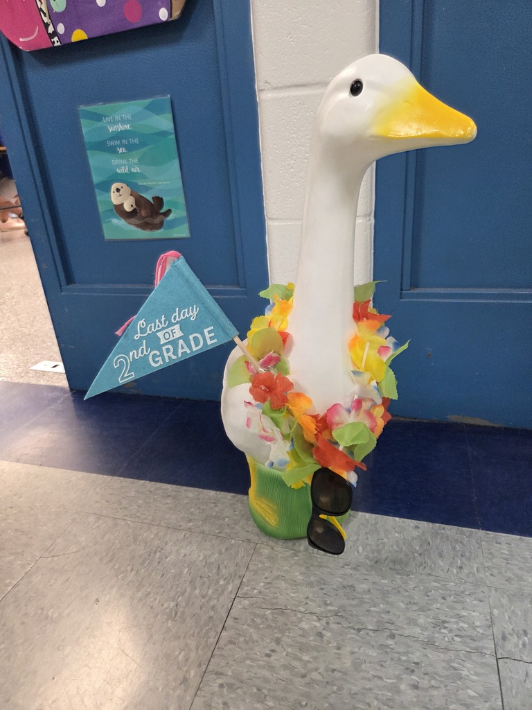 duck