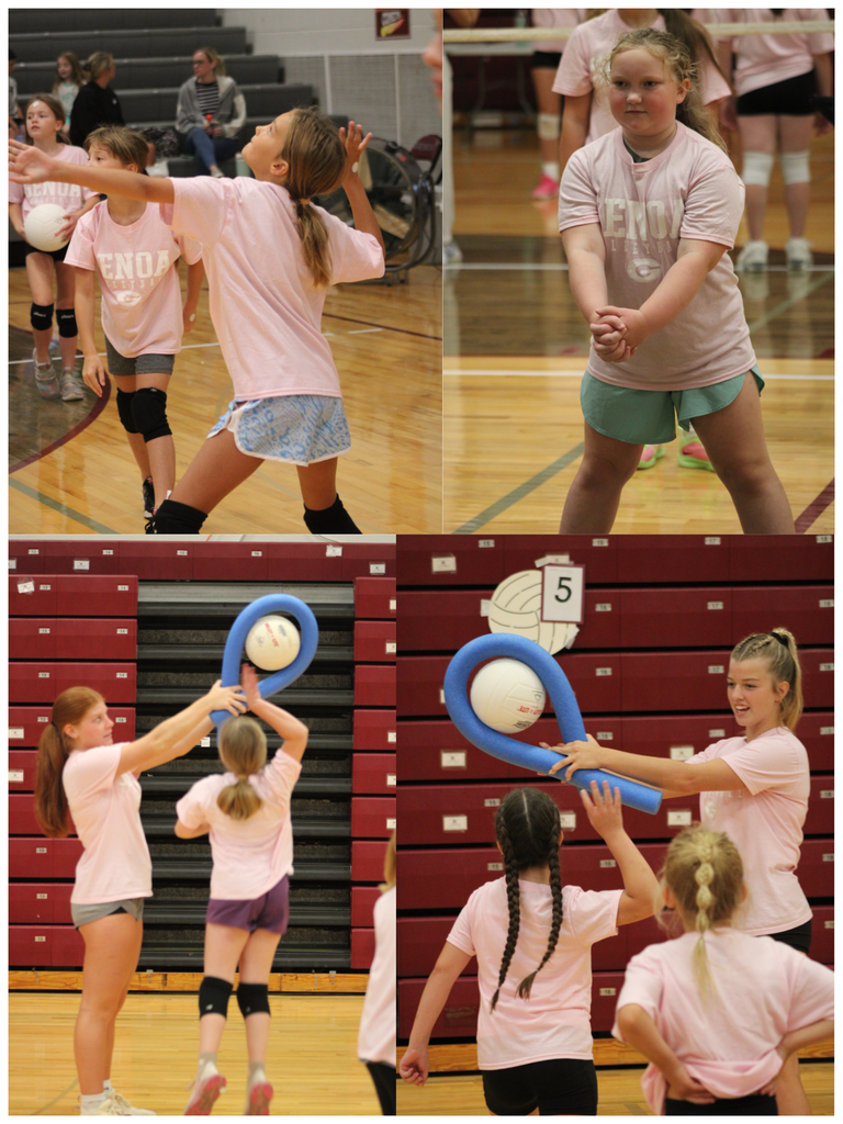 🏐