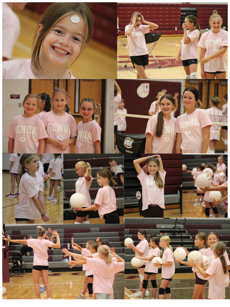 🏐
