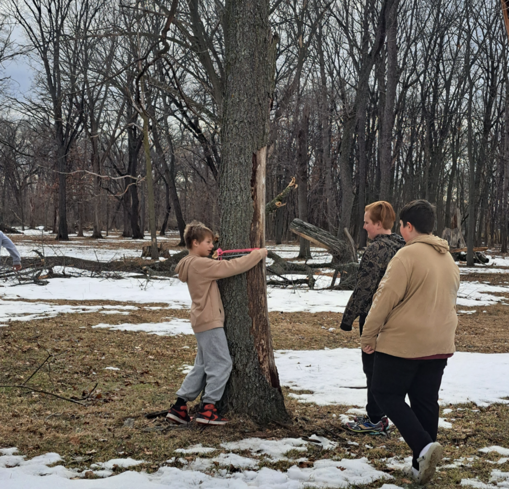 Students measuring tree in school forest