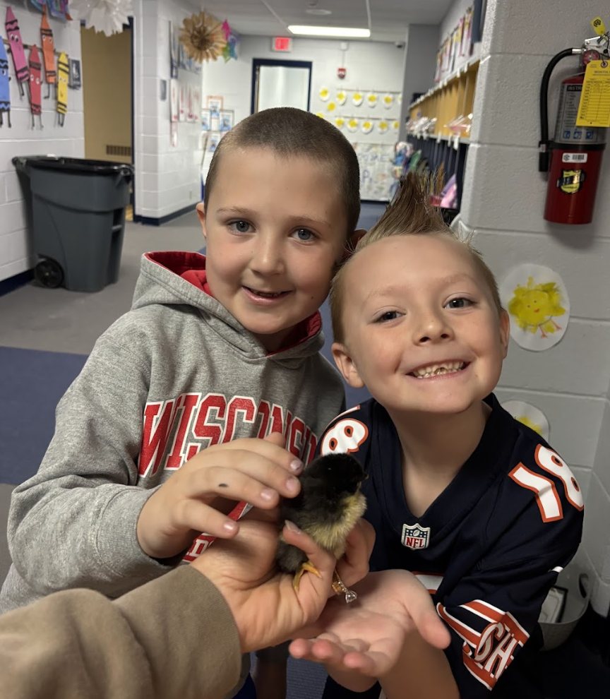 Students holding and petting chicks
