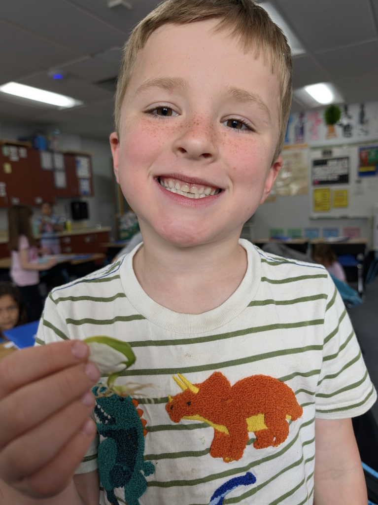Students showing their sprout