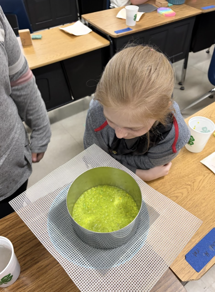 Students observing their project creations