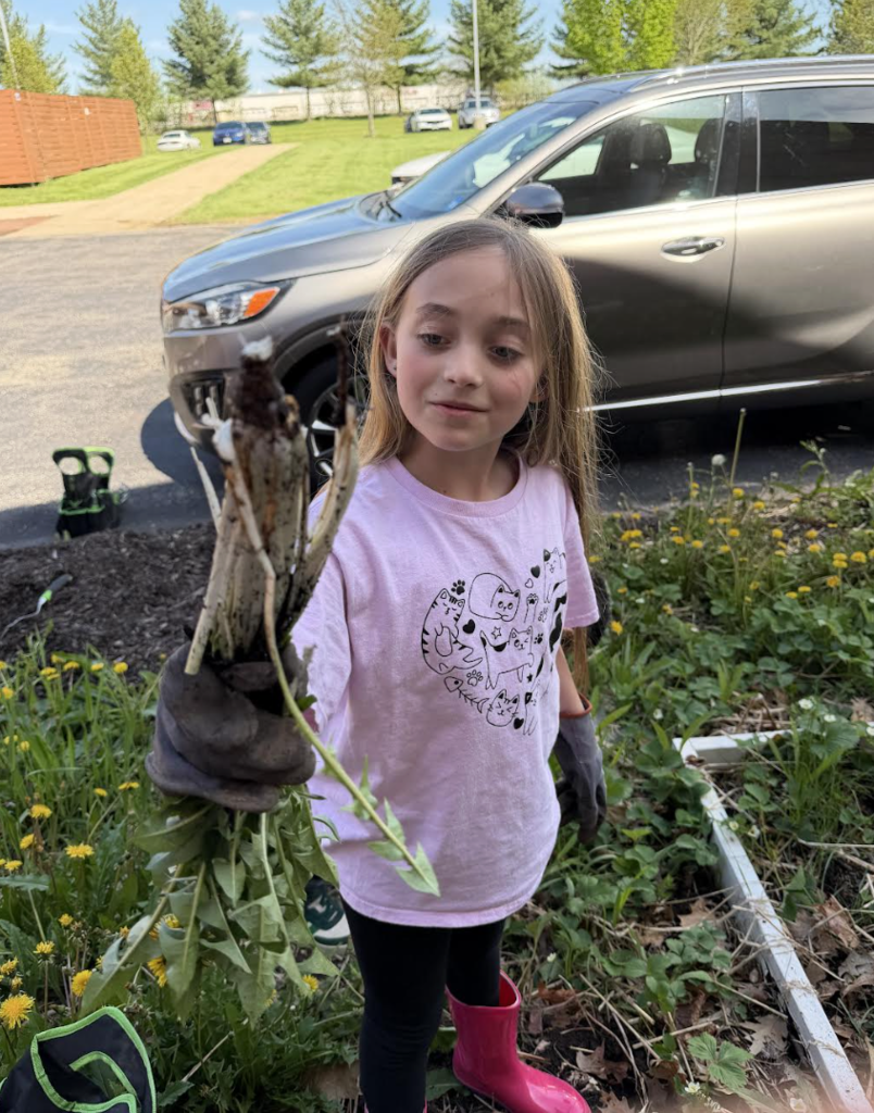 Students working in the community garden