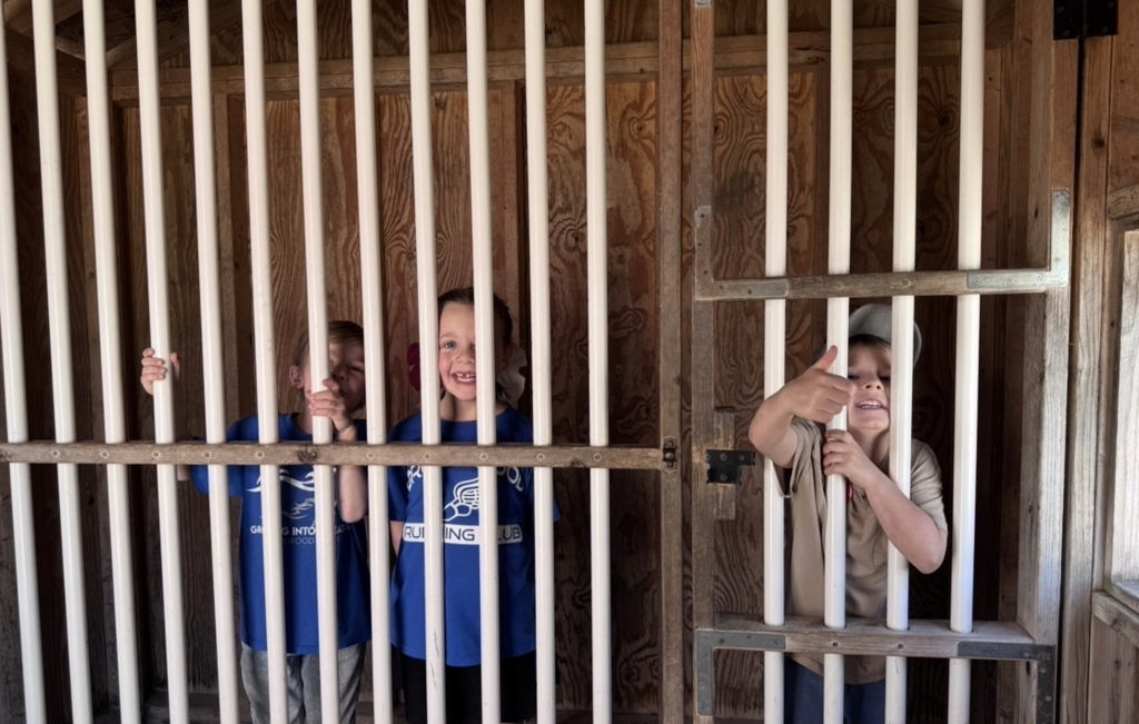 students in the play area at Green Meadows