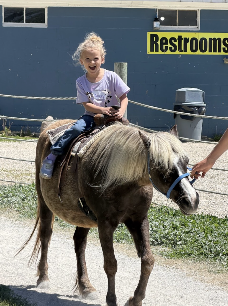 pony rides for students