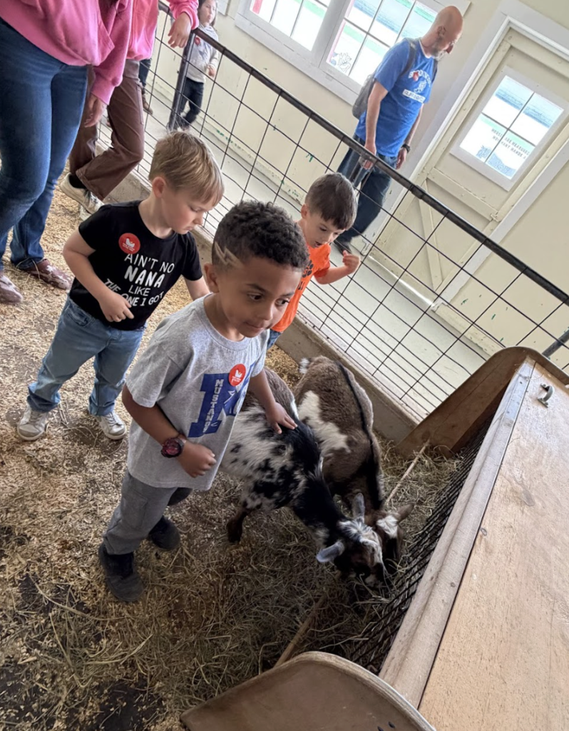 students petting goats