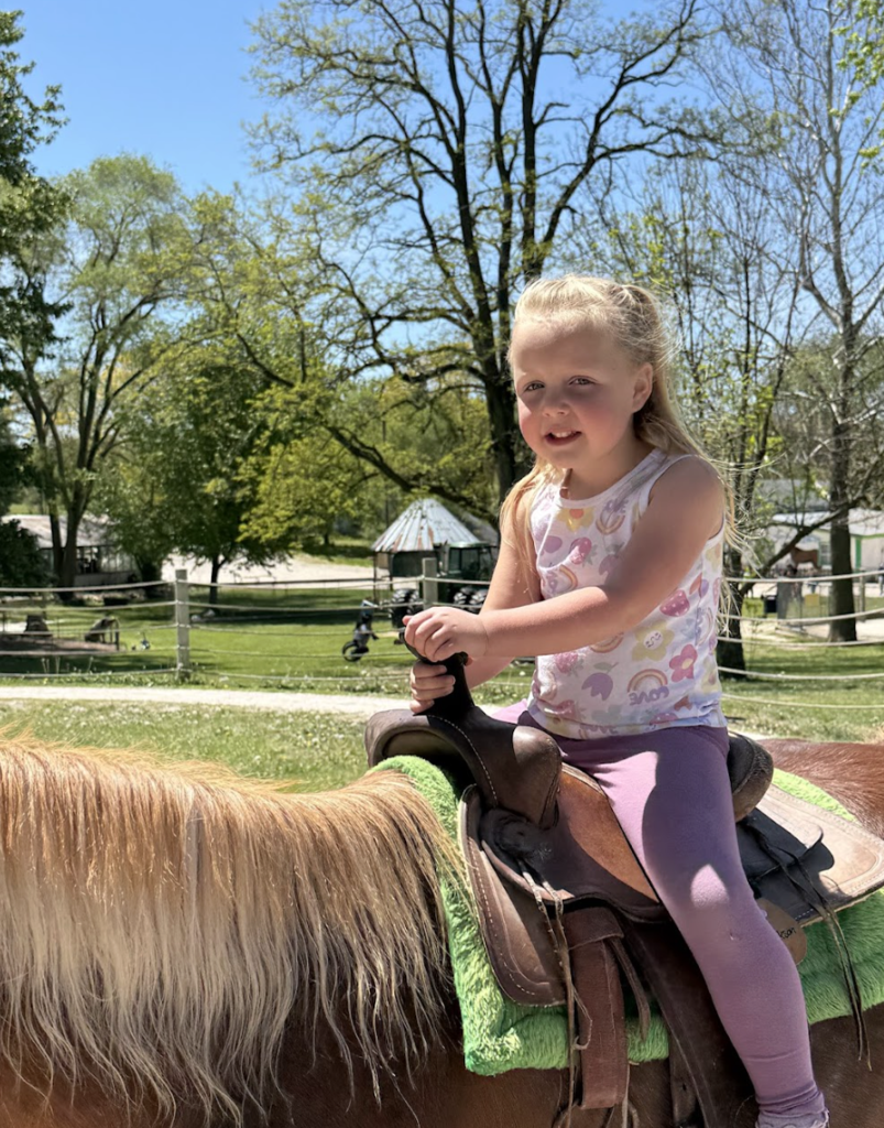 pony rides for students