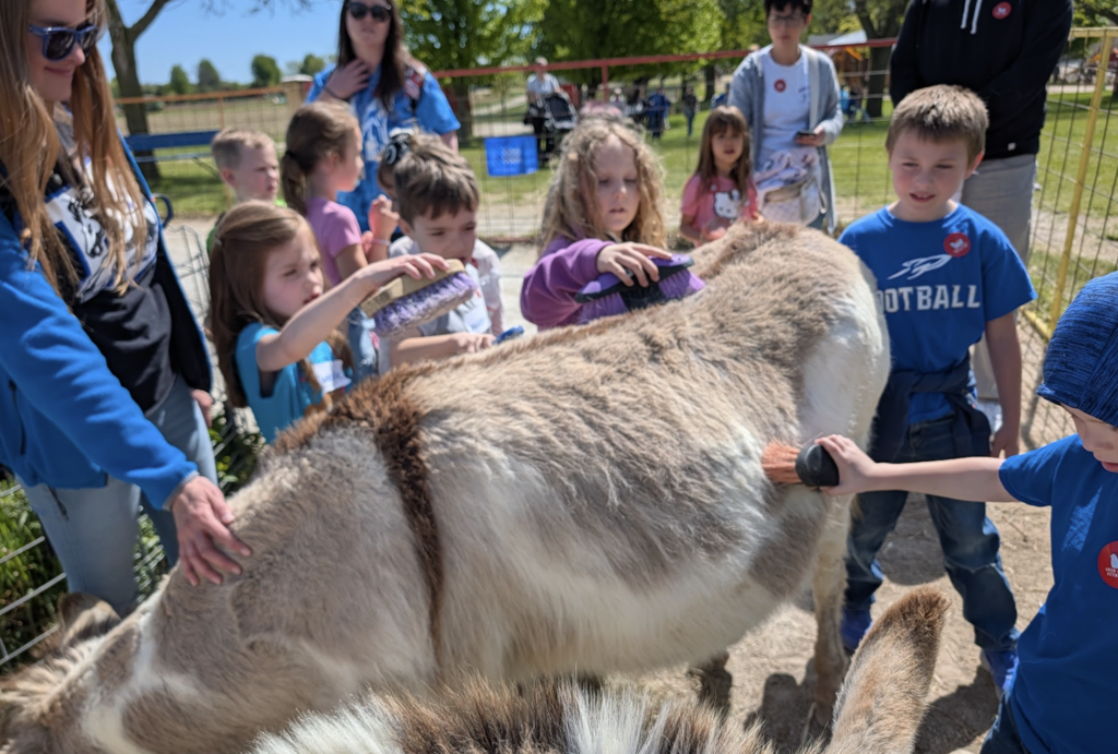 Students with farm animals 1